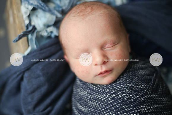 Wyatt-126