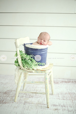 Wyatt-133