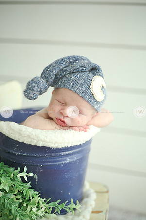 Wyatt-135