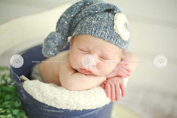 Wyatt-137