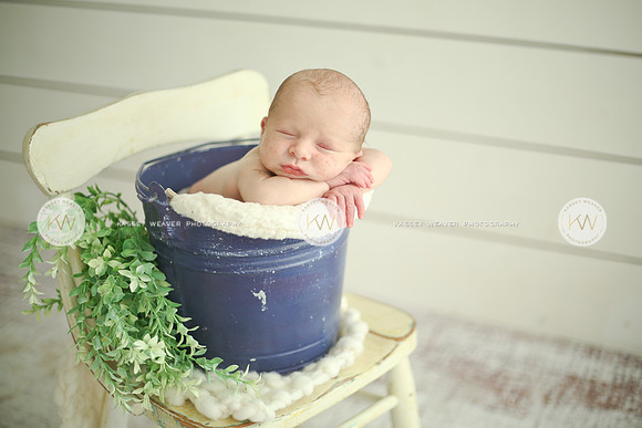 Wyatt-138