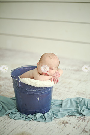 Wyatt-139