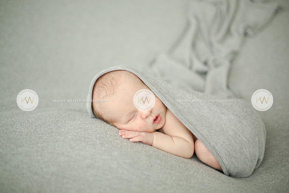 Wyatt-154