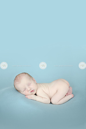 Wyatt-177