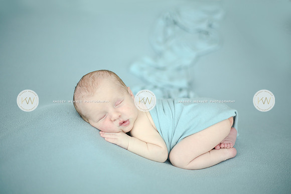 Wyatt-180