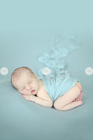Wyatt-181