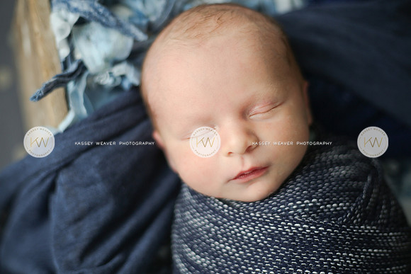 Wyatt-126