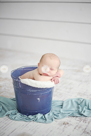Wyatt-139