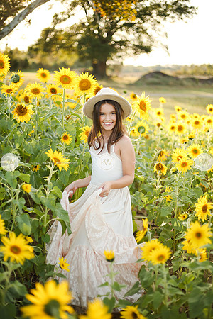 Sunflower-132