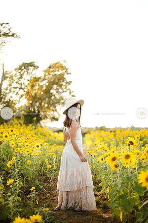 Sunflower-139