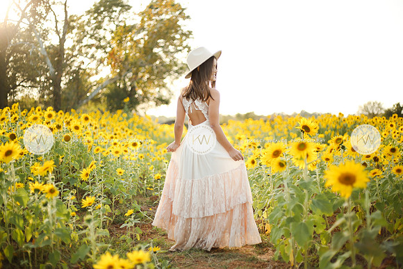 Sunflower-140