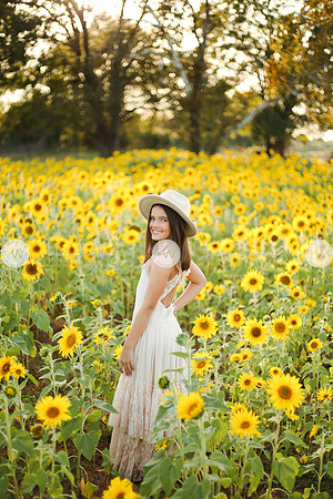 Sunflower-145