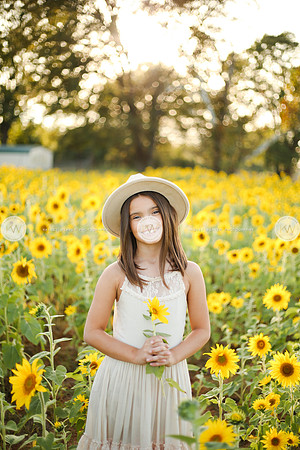 Sunflower-150