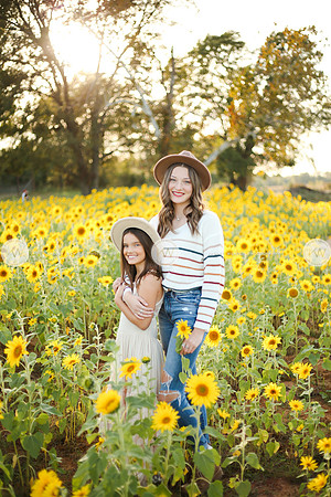 Sunflower-154