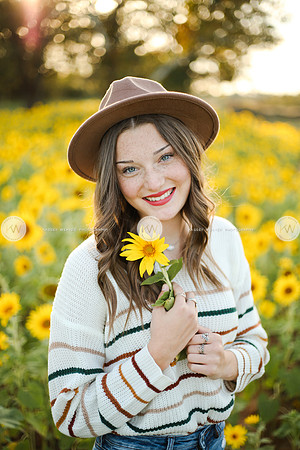 Sunflower-163