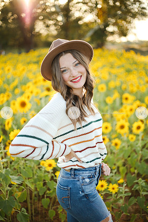 Sunflower-164