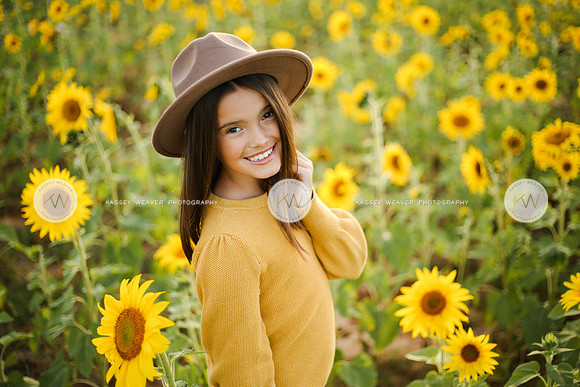 Sunflower-172