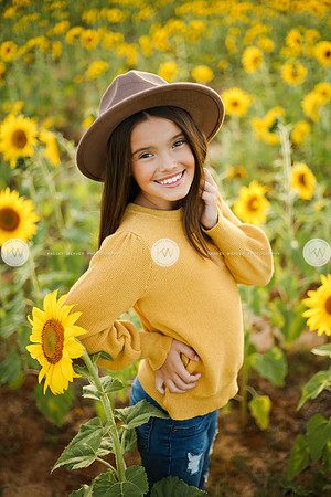 Sunflower-173