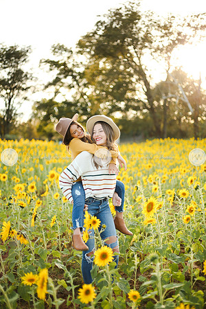 Sunflower-175