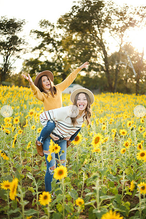 Sunflower-177