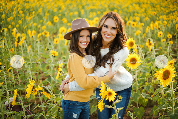 Sunflower-178