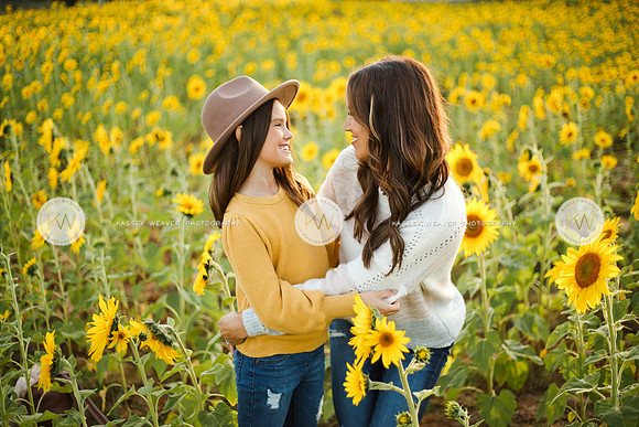 Sunflower-179