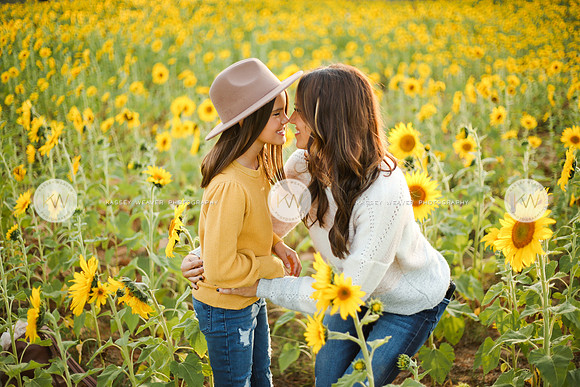 Sunflower-180