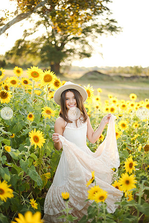 Sunflower-131