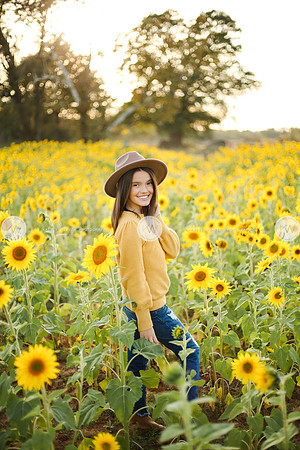 Sunflower-170