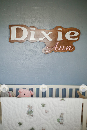 Dixie-4