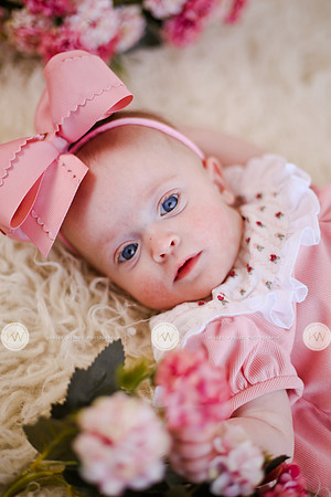 Hollyn6-38