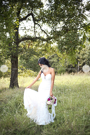 Shores-220