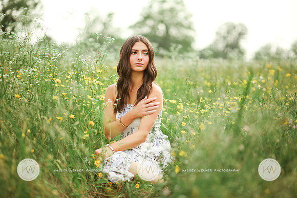 Addison-25