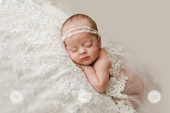 Hollyn-1