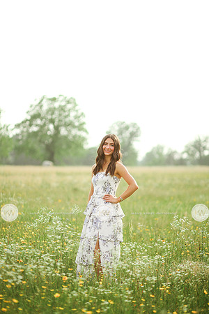 Addison-2