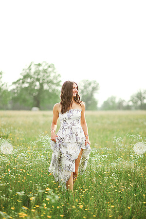 Addison-20