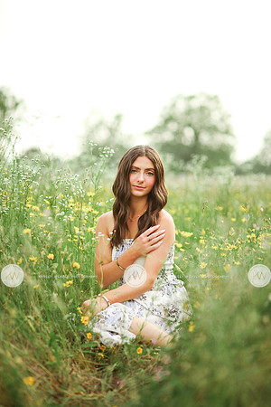 Addison-27