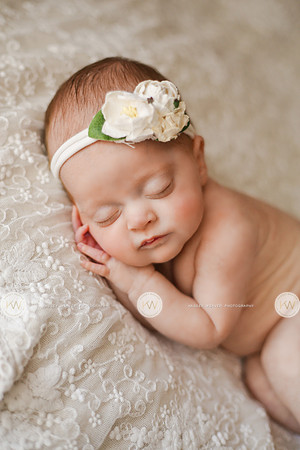 Hollyn-8