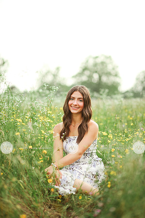 Addison-24