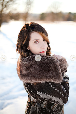 snow-245