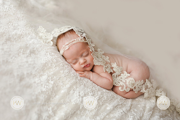 Hollyn-6