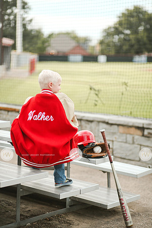 Walker-3