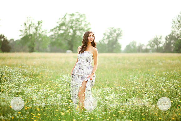 Addison-18