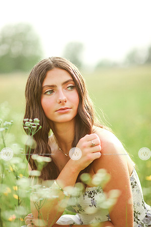 Addison-13