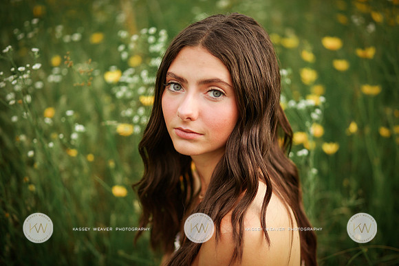 Addison-28