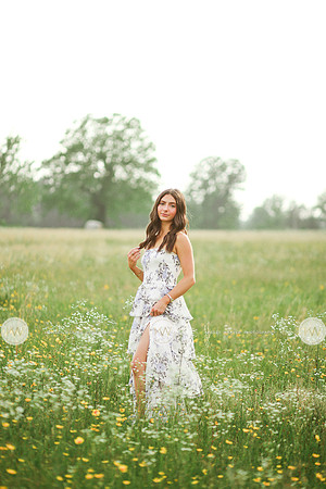 Addison-6