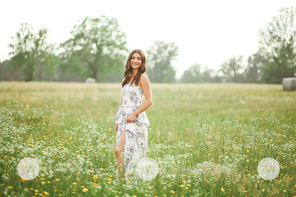 Addison-4
