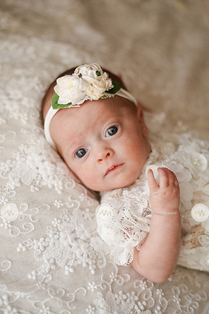 Hollyn-12