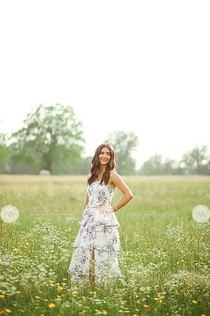 Addison-3